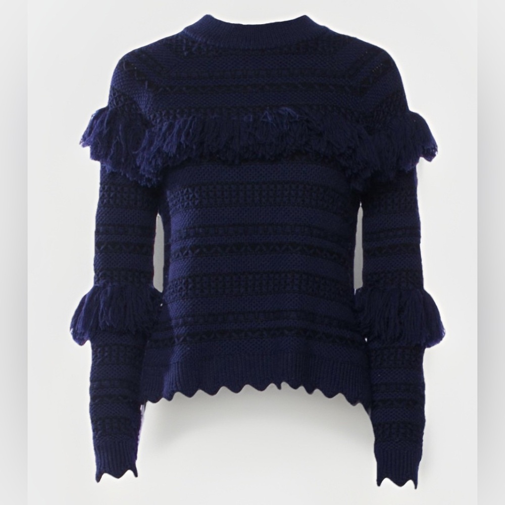 Jonathan Simkhai Wool Tassel Knit Sweater Women’s Small Pullover Ribbed - Picture 1 of 16